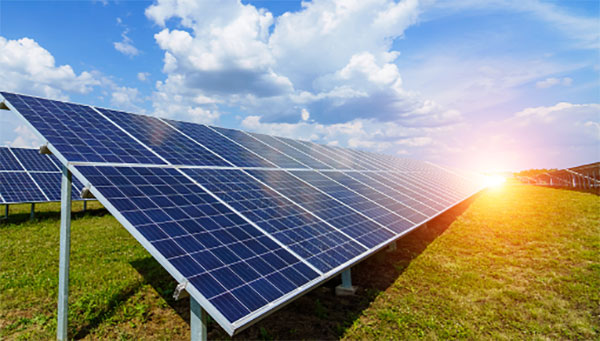 How do solar panels convert sunlight into electricity